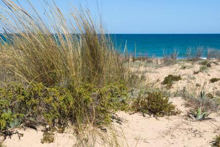 Casa Felipa, Una Estancia Unica En La Costa Blanca Гвардамар-дель-Сегура Экстерьер фото