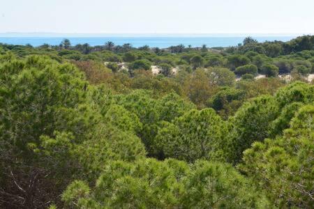 Casa Felipa, Una Estancia Unica En La Costa Blanca Гвардамар-дель-Сегура Экстерьер фото